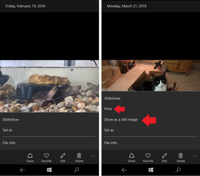 photos-app-printoption (1)